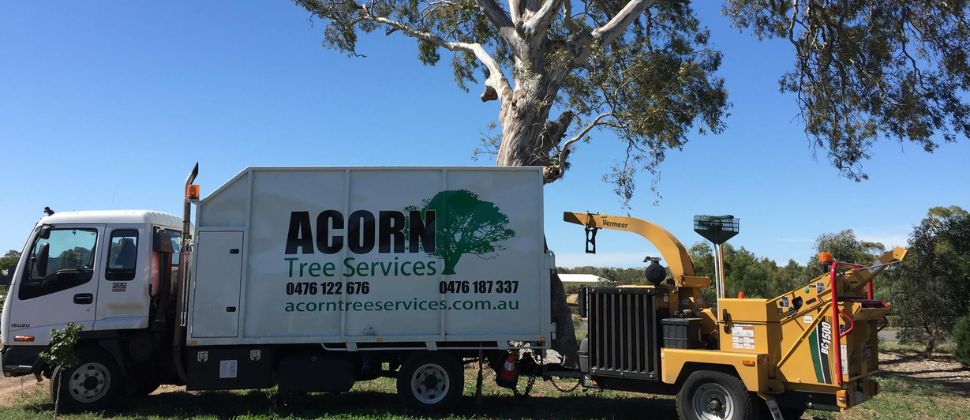 Acorn Tree Service