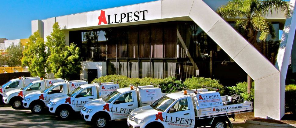 Allpest - Perth