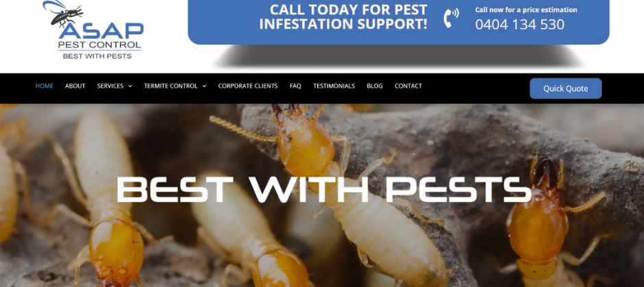 ASAP Pest Control Gold Coast