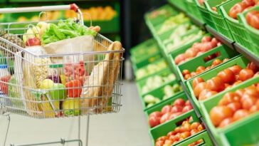 Best Grocery Stores Gold Coast
