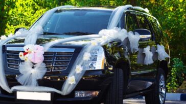 Best Wedding Cars Sunshine Coast