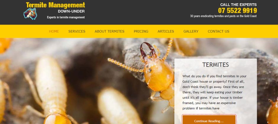 Termite Management Down-Under