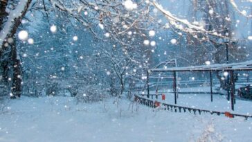 Best Places To See Snow In Canberra