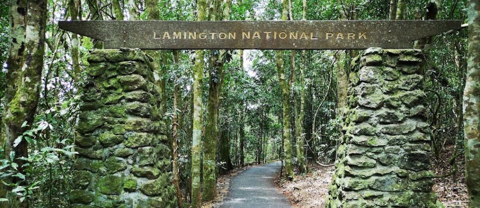 Lamington National Park- Rainforest Circuit (Binna Burra)